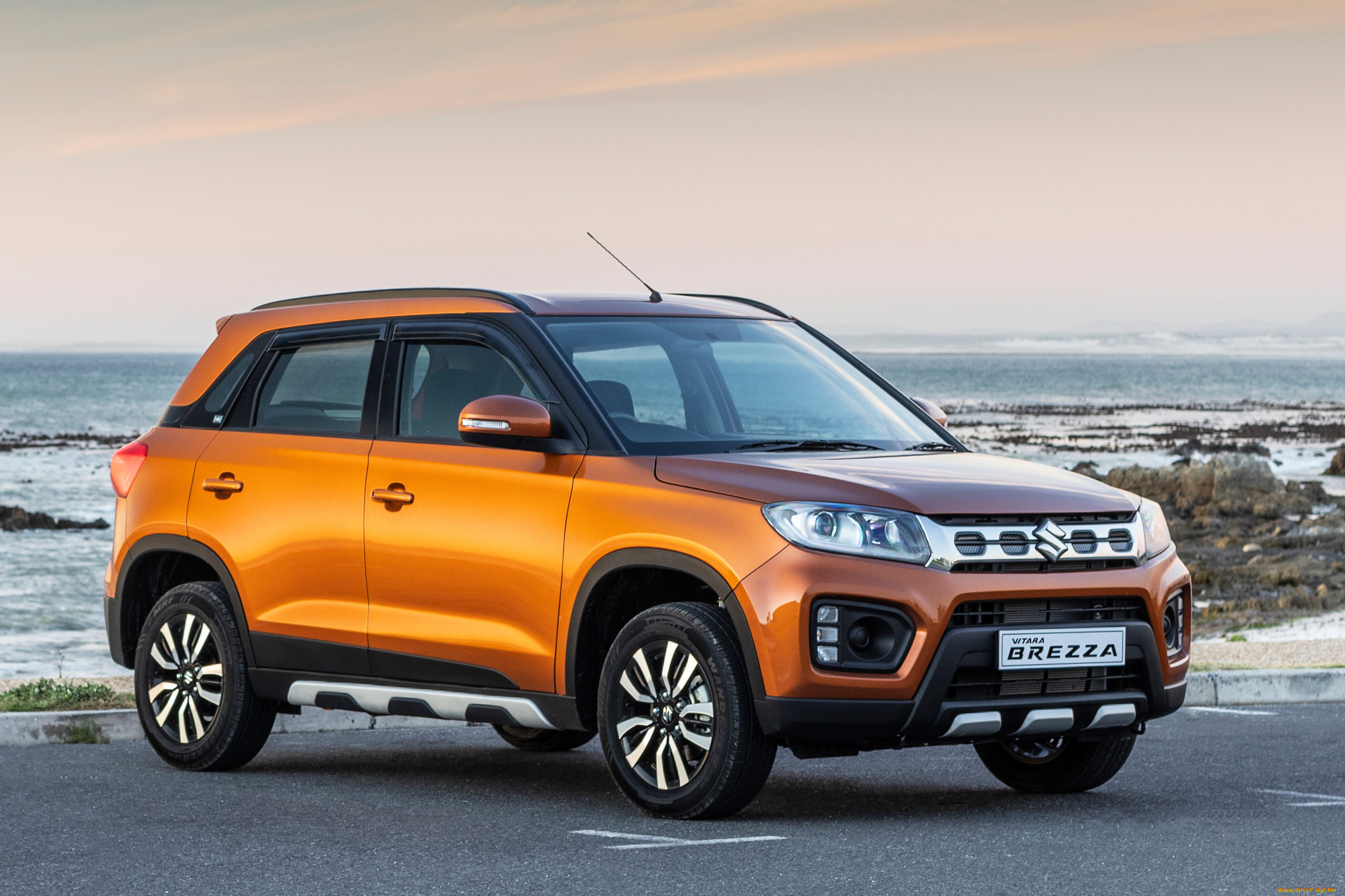, suzuki